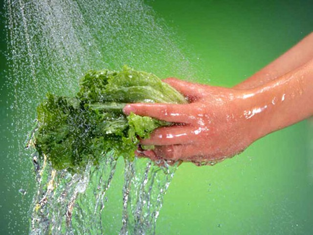 Không nên để rau củ quả còn ướt vào tủ Cách khử mùi hôi của tủ lạnh