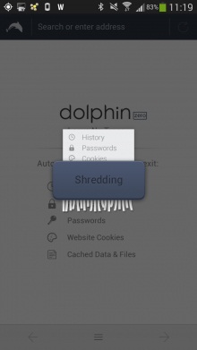 Dolphin Zero