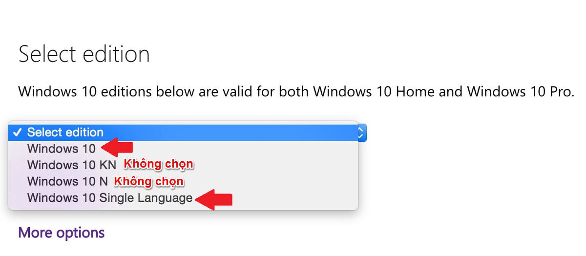 Chỉ nên tải bản Windows 10 Home, Windows 10 Single Language và Windows 10 Pro Chỉ nên tải bản Windows 10 Home, Windows 10 Single Language và Windows 10 Pro
