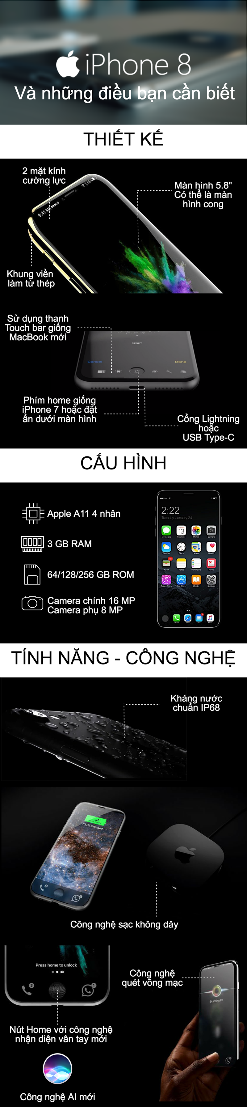 iphone_infographic_800x3582