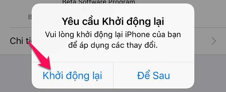 Cách cập nhật iPhone, iPad lên phiên bản iOS 11 beta 1 mới nhất