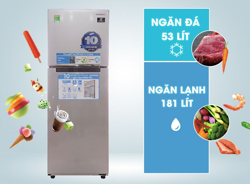 Tủ lạnh Samsung RT22FARBDSA 