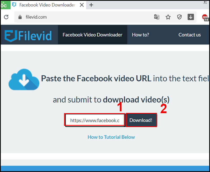 Paste the URL into the Filevid page