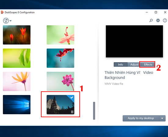 Hướng dẫn cách đặt video làm hình nền máy tính Windows 10