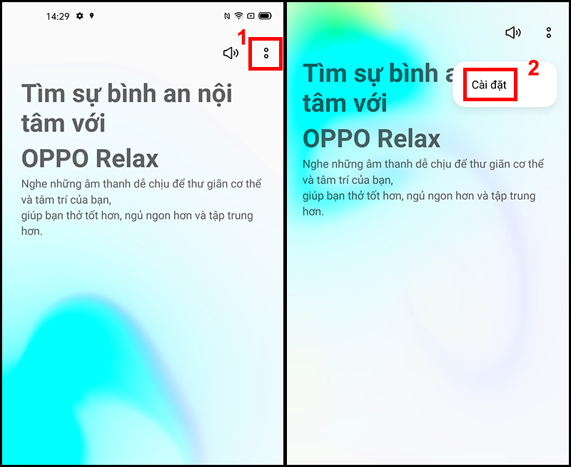 Access the Settings of the application OPPO Relax application